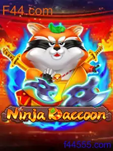 NinjaRaccoon